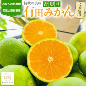 ふるさと納税 広川町 【先行受付2026年9月〜発送】ご家庭用青切り有田みかん 5kg【訳あり】