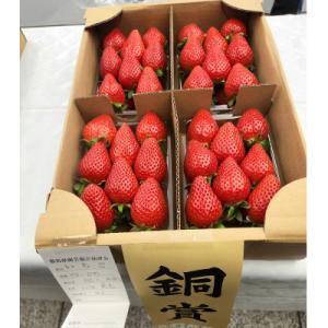 ふるさと納税 前橋市 群馬県いちご品評会入賞やよいひめ約400g×6パック　こだわりの栽培で極めた味...