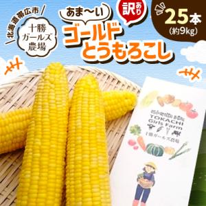 先行受付【十勝ガールズ農場】訳あり 直送 朝もぎつぶつぶ「あま～いゴールドとうもろこし」25本