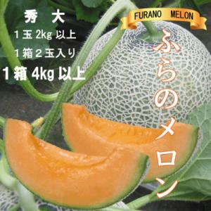 ふるさと納税 富良野市 【2026年発送】ふらのメロン赤肉　秀大2kg以上×2玉(計4kg以上)