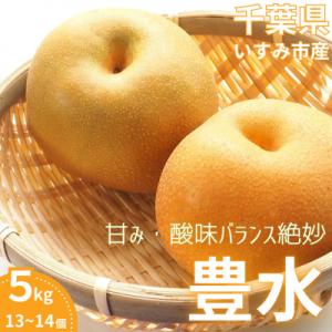 【2026年発送先行受付】いすみ市産豊水梨　約5kg(13～14個)