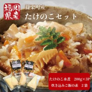 ふるさと納税 篠栗町 篠栗産たけのこセット(博多炊込みご飯の素たけのこ2パック/たけのこ水煮200g...