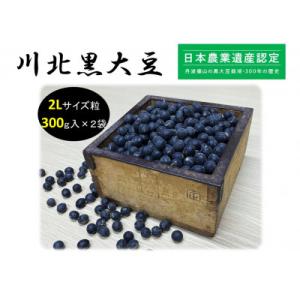 ふるさと納税 丹波篠山市 【2023年12月収穫　新豆】川北黒大豆　2Lサイズ粒　300g×2袋