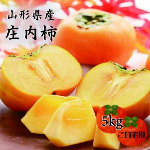 令和8年産 山形県庄内町産 庄内柿 5kg
