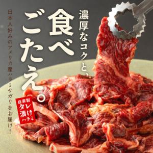 ふるさと納税 泉佐野市 焼き肉専門店 自家製タ...の詳細画像1