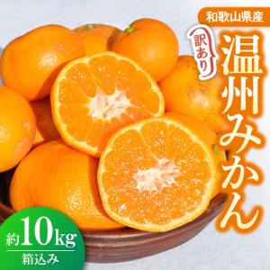 ふるさと納税 和歌山市 訳ありみかん 約10kg(箱込み)　和歌山県産