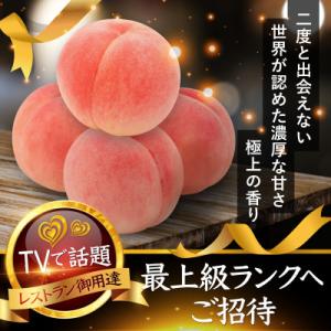 ふるさと納税 山梨市 2027年発送先行受付【海...の商品画像