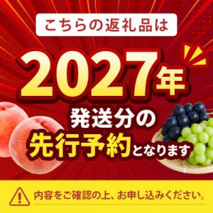 ふるさと納税 山梨市 2027年発送先行受付【...の詳細画像1