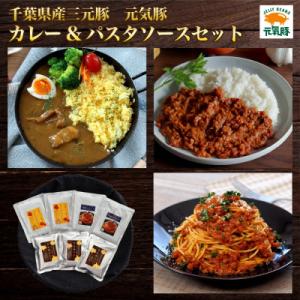 ふるさと納税 多古町 【ギフト】元気豚　カレー&amp;パスタソースセット