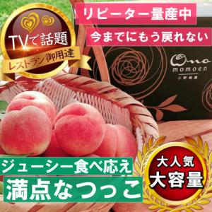 ふるさと納税 山梨市 【大玉ジューシーなつっこ】人気品種指定ギフト3年連続TV出演話題ブランド202...