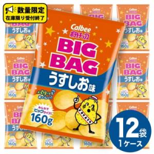 ふるさと納税 牛久市 カルビー ポテトチップス BIGBAG うすしお味 1ケース(160g×12袋)