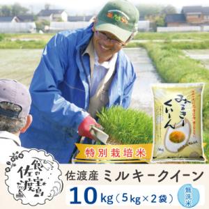 ふるさと納税 佐渡市 【令和5年産】佐渡島産ミルキークイーン 無洗米10Kg(5Kg×2袋)特別栽培...