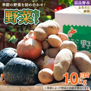 ふるさと納税 富良野市 北海道富良野　野菜セット 10kg詰め