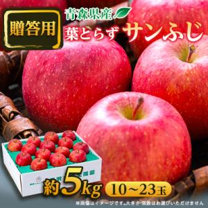 【贈答用にもどうぞ】 青森市産りんご「葉取らずサンふじ」約5kg