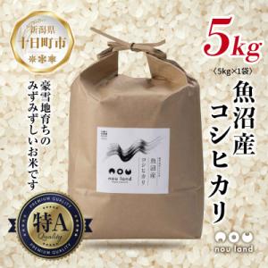 【令和7年産 予約】 農家直送 魚沼産 コシヒカリ 5kg 新潟県 十日町市 のうランド