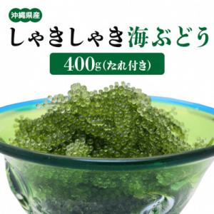 朝採れ!しゃきしゃき海ぶどう(茎付き)400g