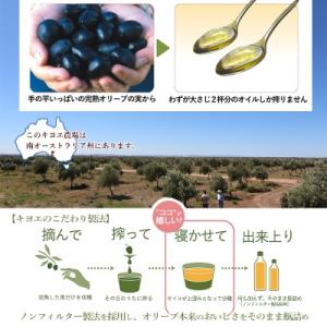 ふるさと納税 茨木市 【ファーストクラスでも採...の詳細画像2