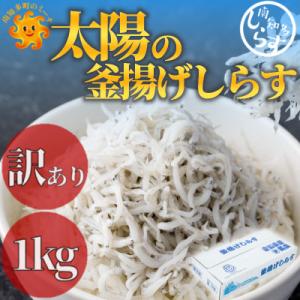 ふるさと納税 南知多町 訳あり 釜揚げしらす 1kg(箱入り)こだわりの塩で減塩・甘塩仕上げ 少し大きめのシラス｜y-sf