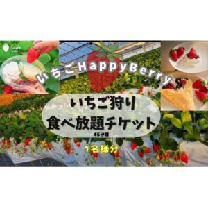 ふるさと納税 東郷町 愛知郡東郷町の農園いちごHappyBerryのいちご狩り招待券2名様(トッピン...