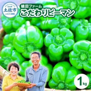 高知県産 植田ファームのこだわりピーマン 1kg