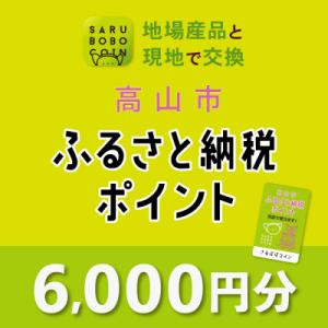 ふるさと納税 高山市 高山市ふるさと納税ポイント 6,000pt 【SB003】