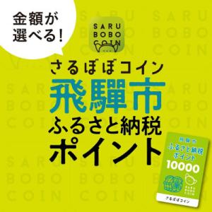 ふるさと納税 飛騨市 さるぼぼコイン 飛騨市ふるさと納税ポイント 6,000pt