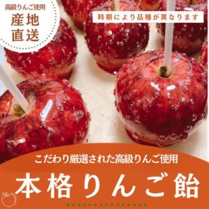 こだわり厳選された高級りんごを使用した本格りんご飴　5個