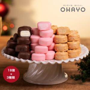 オハヨー乳業 プチアイスボール 10ml×54個 アイスギフト OHAYO