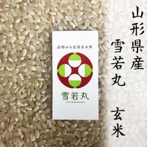 ふるさと納税 新庄市 令和5年産　山形県産【雪若丸】玄米5kg×1袋　計5kg