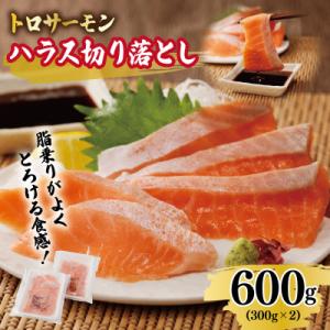 ふるさと納税 泉佐野市 トロサーモン ハラス 切り落とし 600g(300g×2)訳あり サイズ不揃...