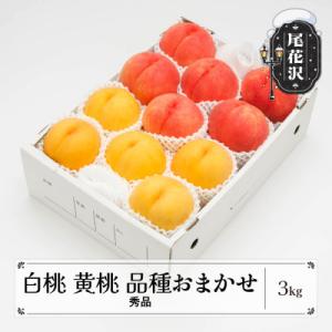 白桃&有袋黄桃 秀品 品種おまかせ 3kg 化粧箱入 令和8年産 山形県産 ns-mohot3
