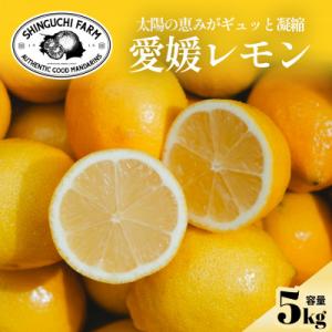 【先行予約 2027年発送】愛媛育ちのレモン 5kg 防腐剤・ワックス不使用【D70-21】