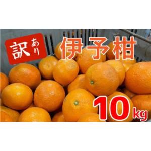 【1月中旬～順次発送予定】美味しい訳あり伊予柑10キロ