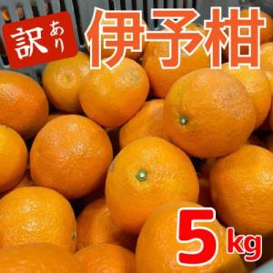 【1月中旬～順次発送予定】美味しい伊予柑5キロ