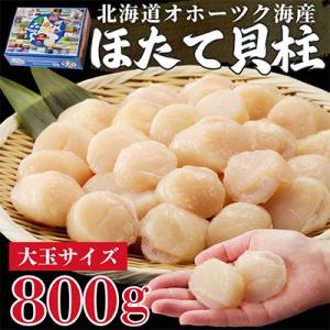 ふるさと納税 ホタテ 北見市 北海道オホーツク海産　ほたて貝柱　800g　生食用