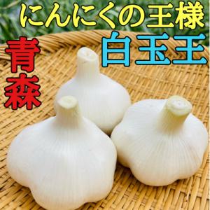 【月1000箱即完売】青森産「にんにくの王様白玉王」5玉(テレビ1泊家族で紹介されました)