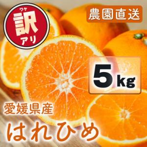 訳あり はれひめ 5kg(40-50個程度)愛媛県 2027年1月発送 家庭用 みかん 晴姫