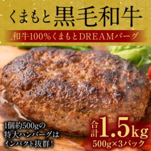 ふるさと納税 八代市 くまもと黒毛和牛100% くまもとDREAMジャンボバーグ 合計1.5kg