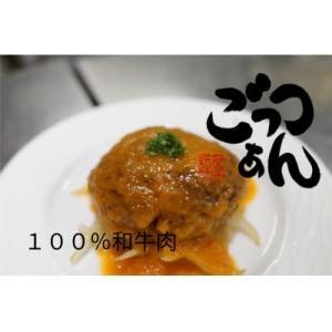 ふるさと納税 直方市 ごっちゃんシリーズ　ハンバーグトマト煮