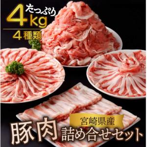 ふるさと納税 串間市 宮崎県産 豚肉詰め合わせセット 合計4kg(串間市)