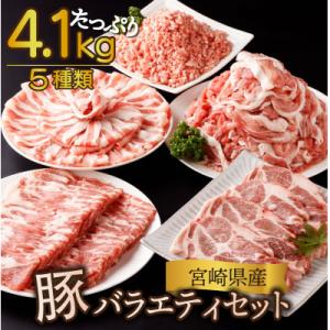 ふるさと納税 串間市 【数量限定】【2024年8月より順次発送】宮崎県産 豚バラエティー 4.1kg...