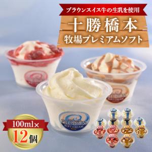 十勝橋本牧場プレミアムソフト12個