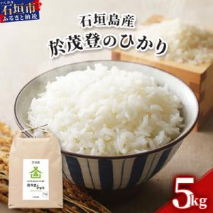 ふるさと納税 石垣市 石垣島産 於茂登(おもと)のひかり 5kg みやぎ米屋 MK-1 精米