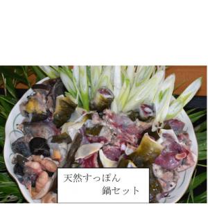 ふるさと納税 筑前町 天然すっぽん鍋【1〜2人前】｜y-sf