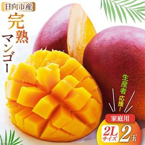 【2026年発送】「生産者応援・数量限定」 訳あり 宮崎 完熟 マンゴー 家庭用 2L 2玉
