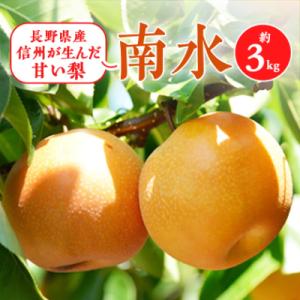 ふるさと納税 南箕輪村 2025年!本当に甘い梨です!信州が生んだ甘い【南水】約3キロセット!