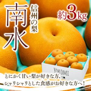 2026年秋!信州の梨【南水】約3kg　信州が生んだ甘い梨!