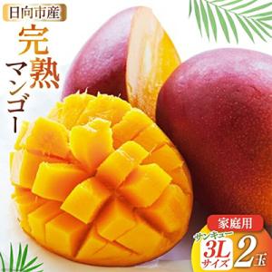 【2026年発送】「生産者応援・数量限定」 訳あり 宮崎 完熟 マンゴー 家庭用 3L 2玉