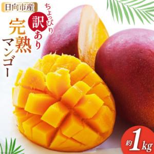 【2026年発送】 訳あり 宮崎 完熟 マンゴー 約1kg