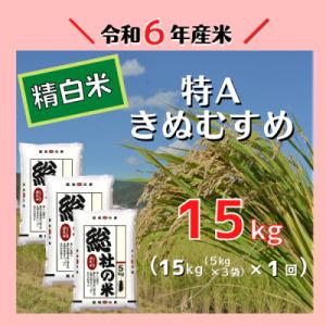 ふるさと納税 総社市 〔令和6年11月より発送〕【令和6年産米】特Aきぬむすめ【精白米】15kg